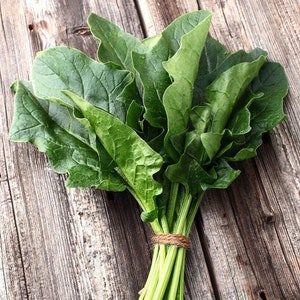 USA SELLER Bloomsdale Spinach 100 seeds HEIRLOOM Spinacia oleracea image 1