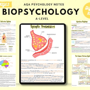Notes imprimables manuscrites complètes AQA A-level en psychologie : BIOPSYCHOLOGIE