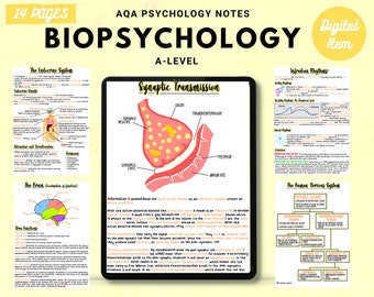 AQA A-level Psychology full handwritten printable notes: BIOPSYCHOLOGY