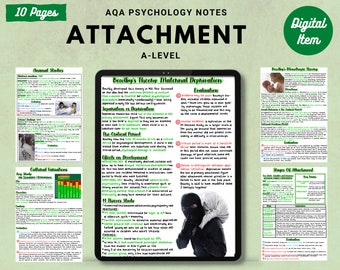 AQA A-level Psychology full handwritten printable notes:  ATTACHMENT