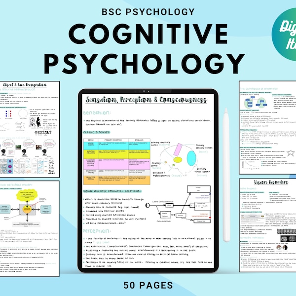 Notes complètes de Bsc Psychologie: PSYCHOLOGIE COGNITIVE