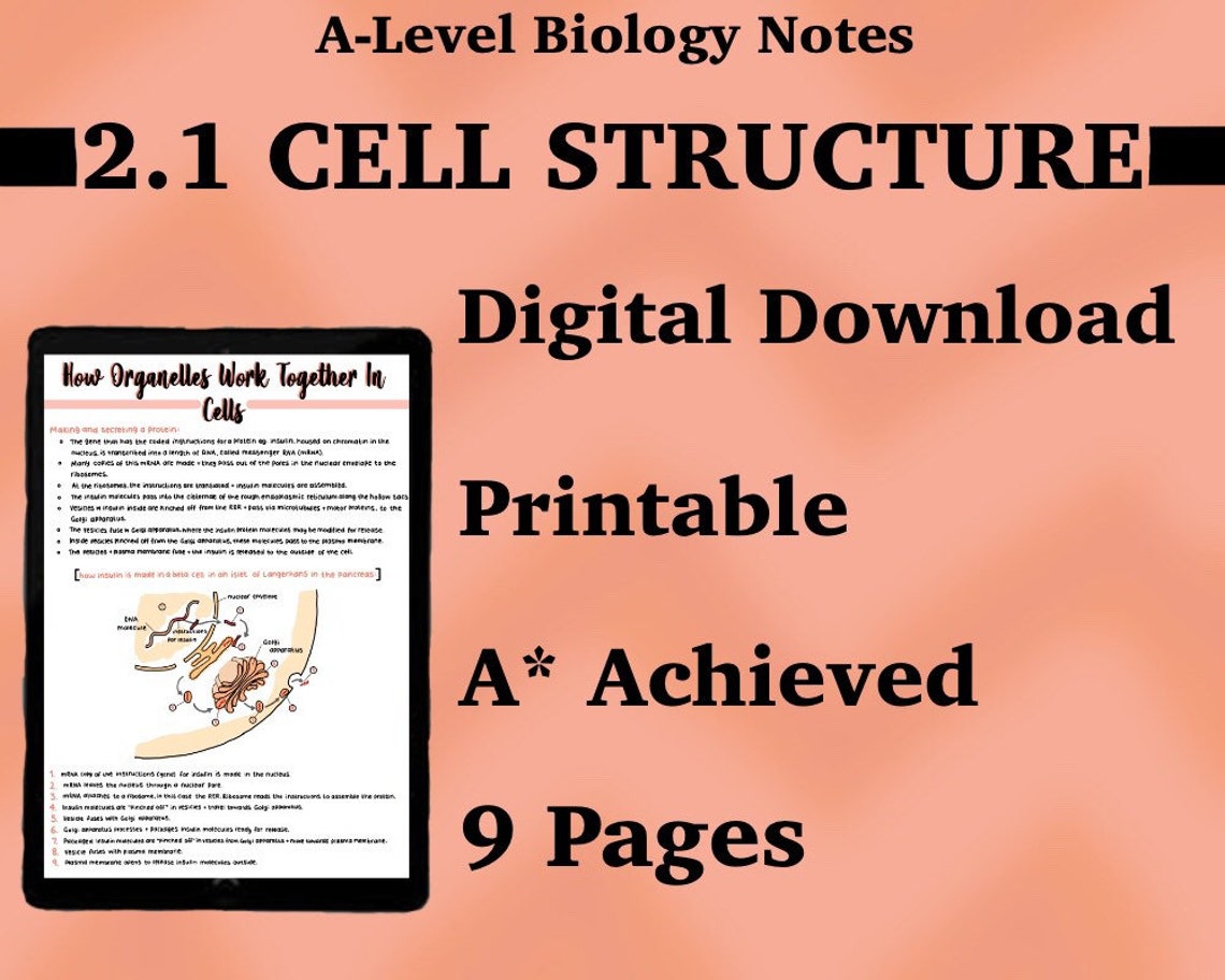 OCR Alevel Biology Notes 2.1 CELL STRUCTURE A4 Printable Etsy UK OCR Alevel Biology Notes 2.1 CELL STRUCTURE A4 Printable Etsy UK