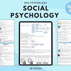 Notes complètes de Bsc Psychology: PSYCHOLOGIE SOCIALE