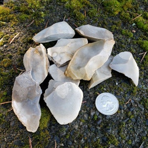 May include: A collection of light gray flint flakes, possibly prehistoric tools, are scattered on a mossy surface. A US quarter coin is included for size comparison. The flakes vary in shape and size, with some showing sharp edges.