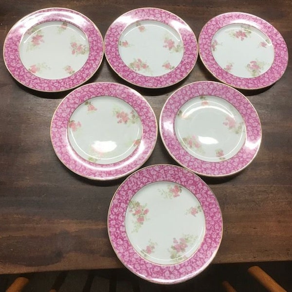 Set of 6 7 1/2" Diameter T & V Limoge Plates