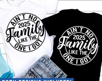 Ain't No Family Like The One I Got 2025 SVG, Summer Quote Svg, Family Trip, Summer Vacation Shirt Svg, Png, Svg Files For Cricut