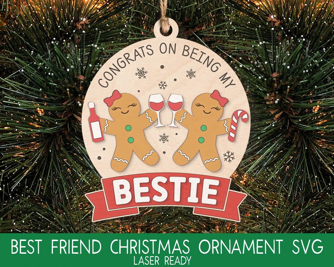 thumbnail interactive-video image 1 of Funny Best Friend Christmas Ornaments 2024 - Naughty Friendship Gifts For Adults & White Elephant 1 of 10