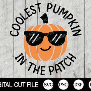 May include: A black and orange graphic design featuring a pumpkin wearing sunglasses and the text "Coolest Pumpkin in the Patch".
