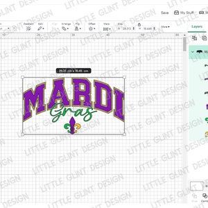 mardi gras varsity jacket