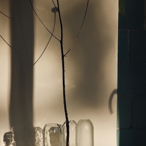 May include: Three clear glass vases with a dried branch with brown flower buds in the center vase. The vases are on a white surface with a shadow of the branch and vases.