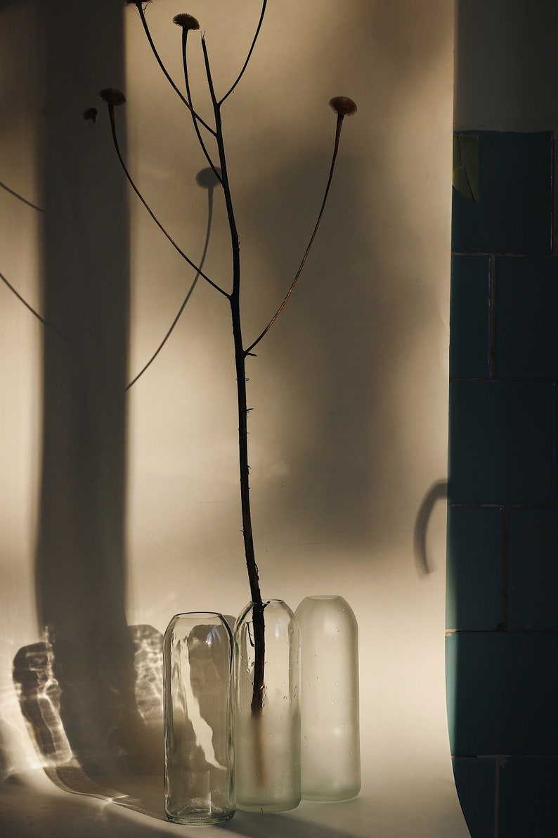 May include: Three clear glass vases with a dried branch with brown flower buds in the center vase. The vases are on a white surface with a shadow of the branch and vases.