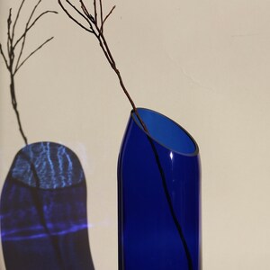Pu&ograve; includere: Un vaso di vetro blu cobalto con un'apertura angolare unica, che presenta un unico ramoscello marrone all'interno. Il vaso proietta un'ombra blu sul muro dietro di esso.