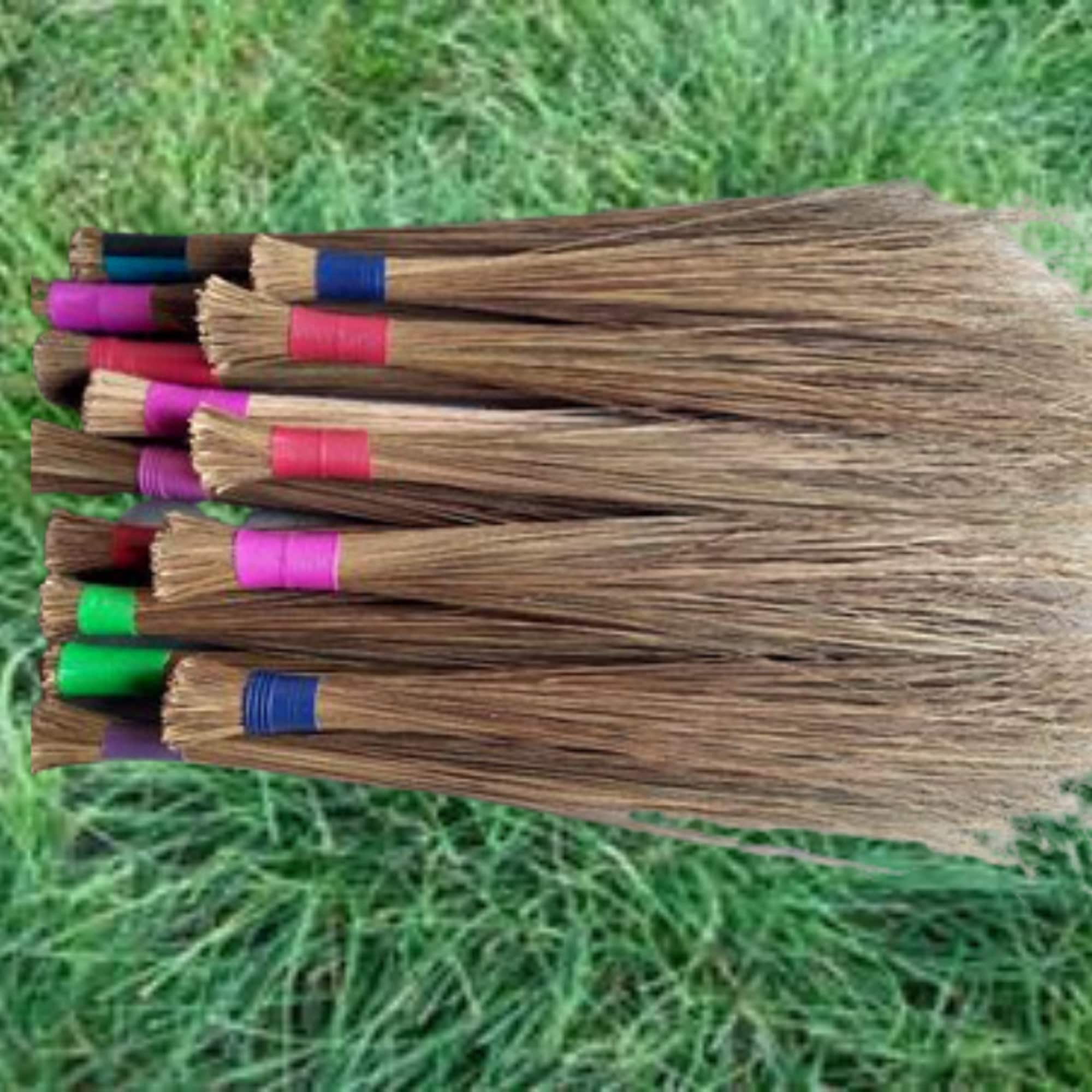 Coconut sticks dried coconut sticks sticks organic dried Etsy