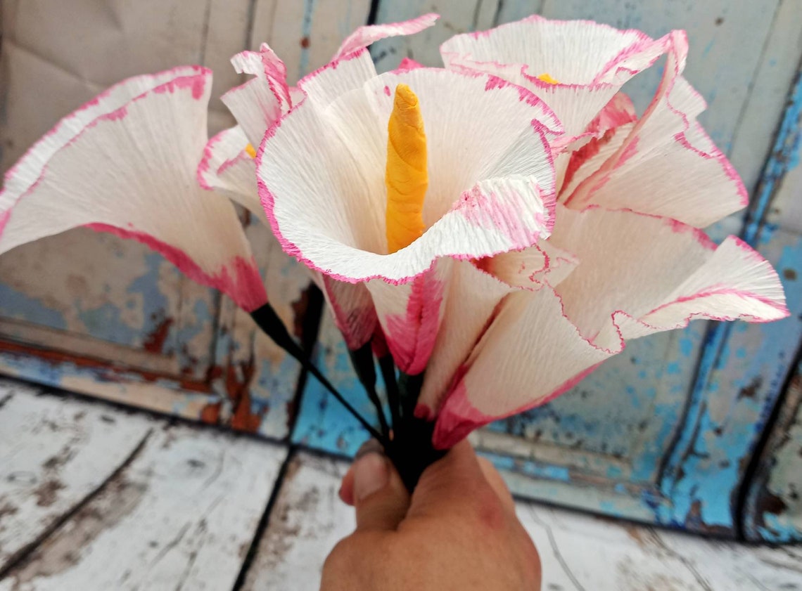 10 White and Pink Crepe Paper Calla Lilies 10 handmade white Etsy