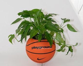 Jardinera de baloncesto - Jardinera de tamaño completo