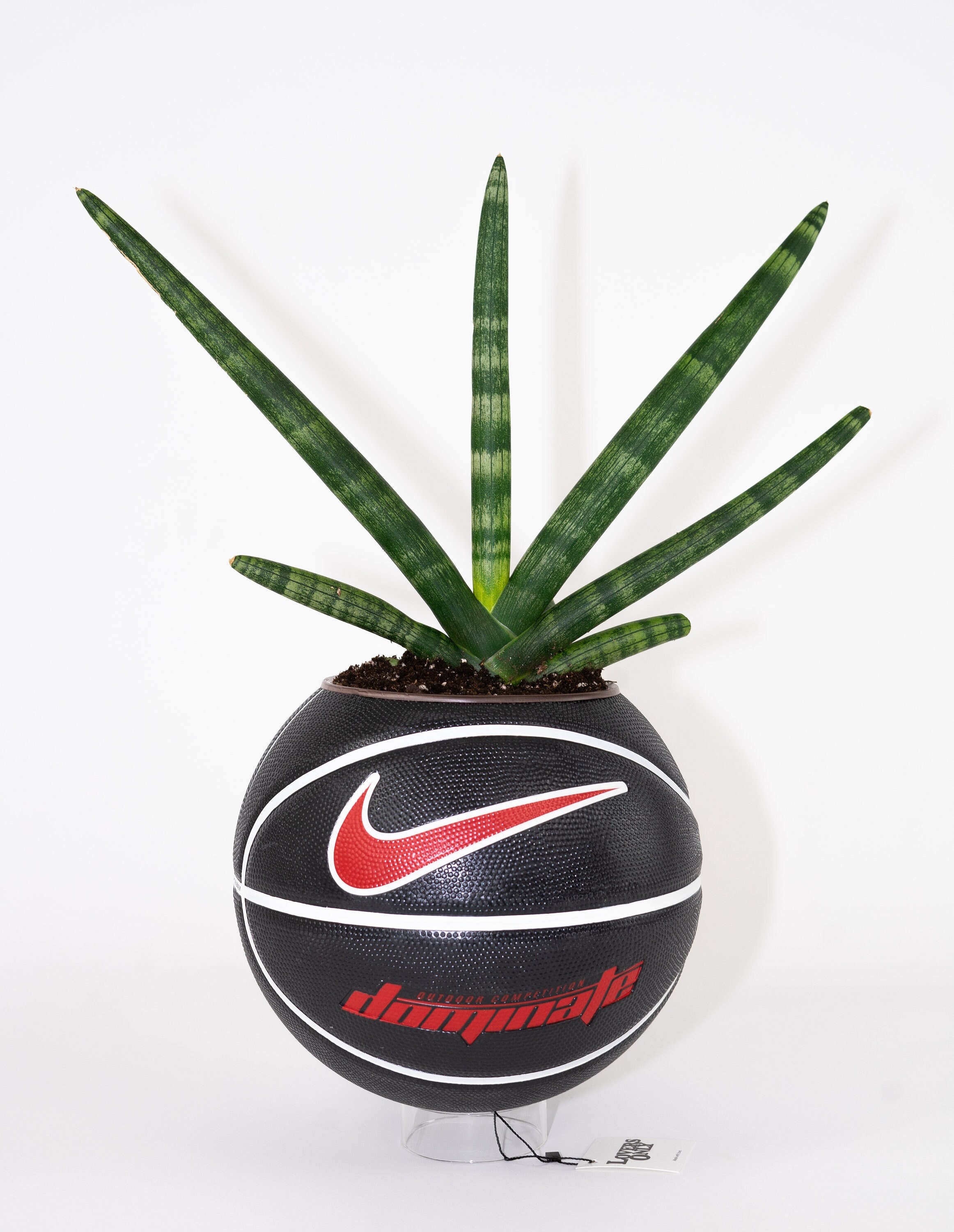 Nike basketball planter - Etsy 日本