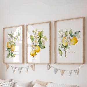 May include: Three framed watercolor prints of lemon blossoms and fruit. The prints are in wooden frames with a white mat. The prints are arranged in a row on a white wall.