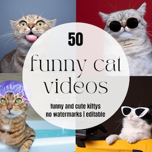 50 grappige kattenvideo's | Hilarische dierenvideo's Willekeurige grappige video's | Kittenvideo | IG-spoelen | Tiktok-spoelen | Youtube-shorts |