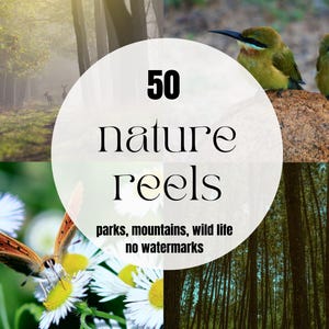 50 video stock sulla natura Nature Reels Nature B Roll per IG Reels Tiktok Reels / Video sulla fauna selvatica / Bellissimi video stock sulla natura Travel Reels