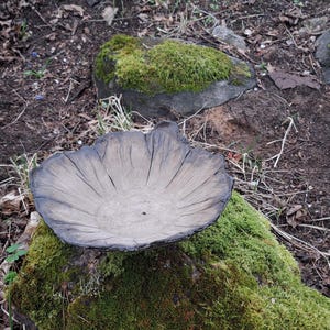 May include: A handcrafted wooden bowl with a dark, weathered finish sits atop a moss-covered rock. The bowl's interior is light-colored, contrasting with the darker rim. Surrounding the bowl are other mossy rocks and forest floor debris.