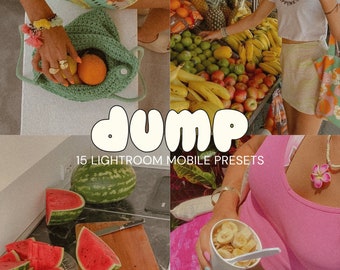 15 Smooth DUMP FILM Presets |Retro Filter | DUMP Lightroom Mobile Presets | Film Look | Vibrant Presets |