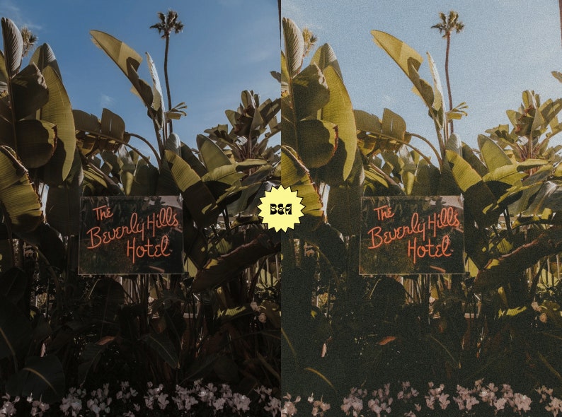 May include: A neon sign with the text "The Beverly Hills Hotel" in red letters on a black background. The sign is surrounded by green palm leaves and a blue sky.