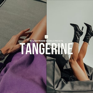 Cool Tangerine Mobile Presets | Teal and Orange Tones  | Tangerine Summer Style | Stylish Tropical Warmth | For outdoors photos