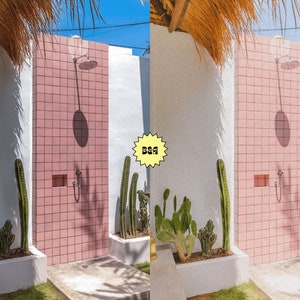 May include: An outdoor shower with pink tile walls and a silver shower head. The shower is surrounded by green cactus plants in white planters.