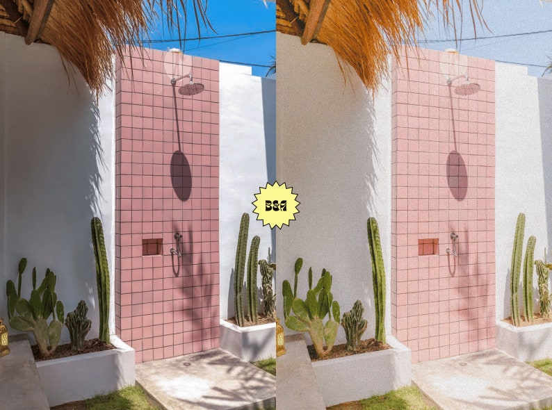 May include: An outdoor shower with pink tile walls and a silver shower head. The shower is surrounded by green cactus plants in white planters.