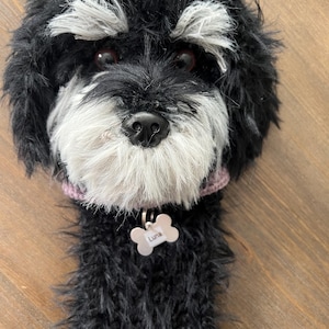 May include: A plush dog toy with a black and white face, featuring a white beard and eyebrows. The toy has a pink collar and a bone-shaped tag that reads "Luna". The dog's fur is a mix of black and gray.