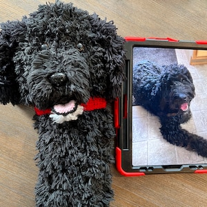 Custom Dog Golf Club Cover: Personalized Pet Head Cover, golfer gift