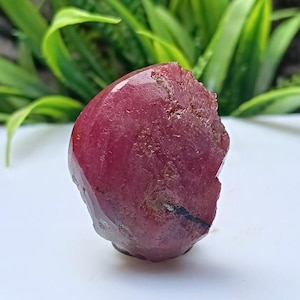 May include: A raw, uncut ruby gemstone with a deep red hue. The natural stone has a rough, textured surface and a polished, glossy top. The ruby is set against a white surface with green foliage in the background.