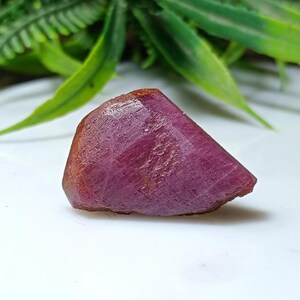 Könnte beinhalten: Ein roher, dreieckiger Rubin-Edelstein mit tiefroter bis violetter Farbe. Die raue Oberfläche des Steins hat ein natürliches, unpoliertes Aussehen. Grünes Laub ist im Hintergrund zu sehen, das mit der Farbe des Steins kontrastiert. Dieser Edelstein eignet sich für die Schmuckherstellung.