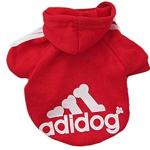 Huisdier hoodie