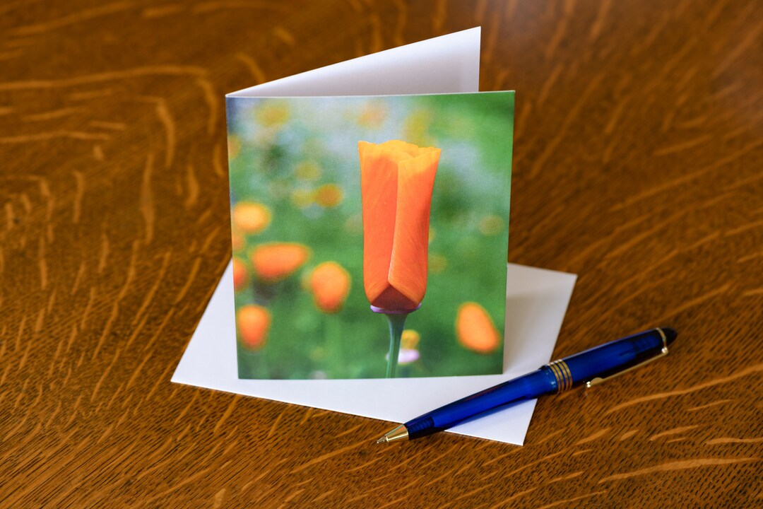 10 Blank Photo Note Cards morning Dew California Etsy