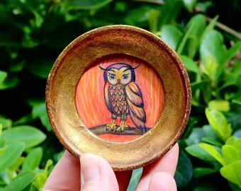 Little Owl Fuoco