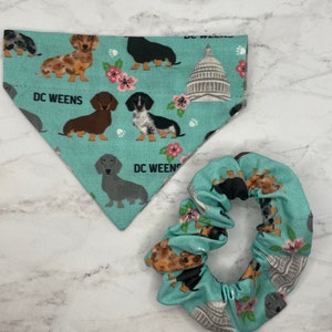 DC Weens Capitol Hill doxie dachshund reversible over the collar dog bandana, cute mask, matching Bandana and scrunchy, mask scrunchy set