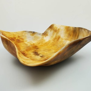 Unique Carmel Brown Horn Decorative Bowl