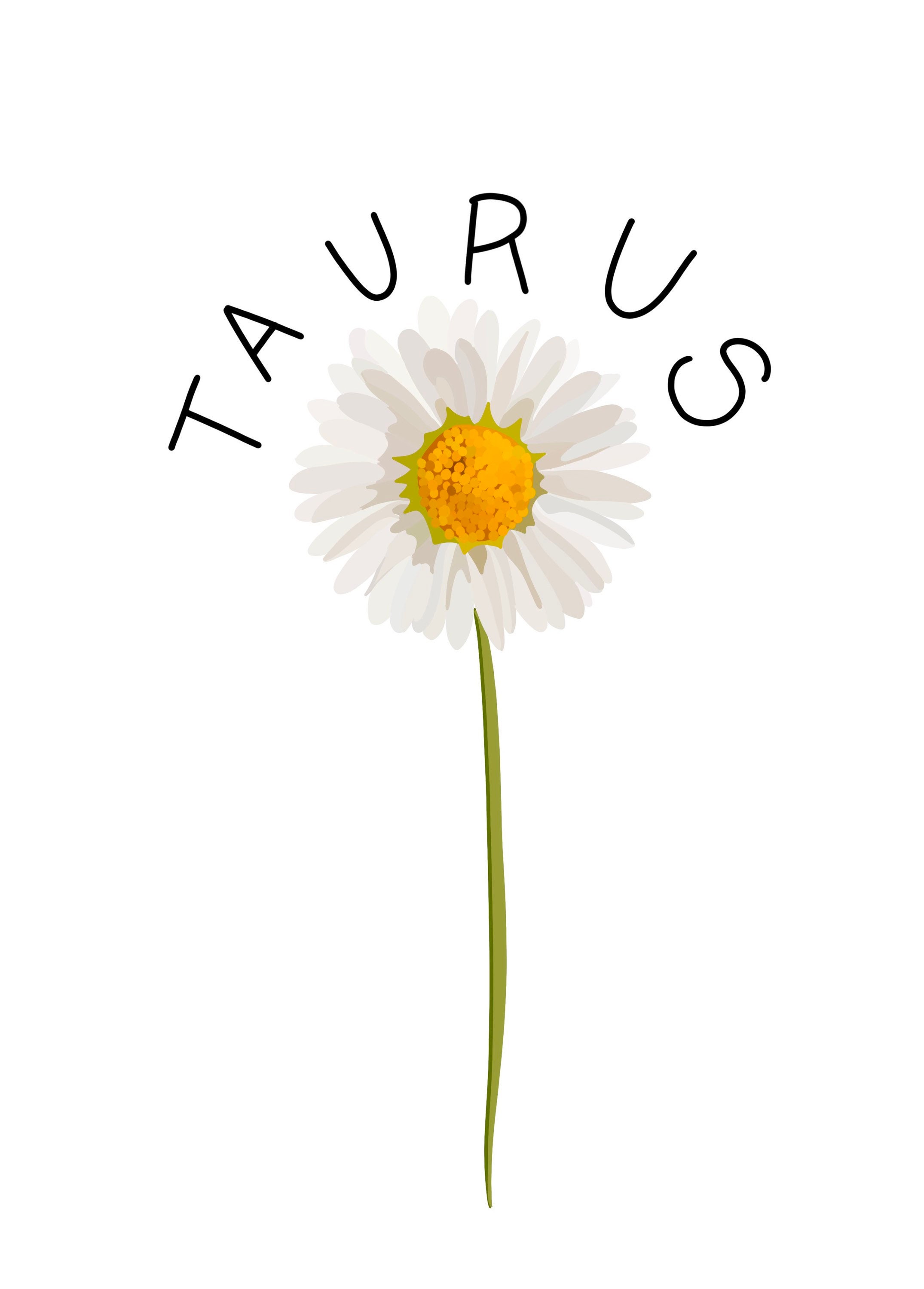 Zodiac Sticker Flower Sticker Taurus Sticker waterproof Etsy