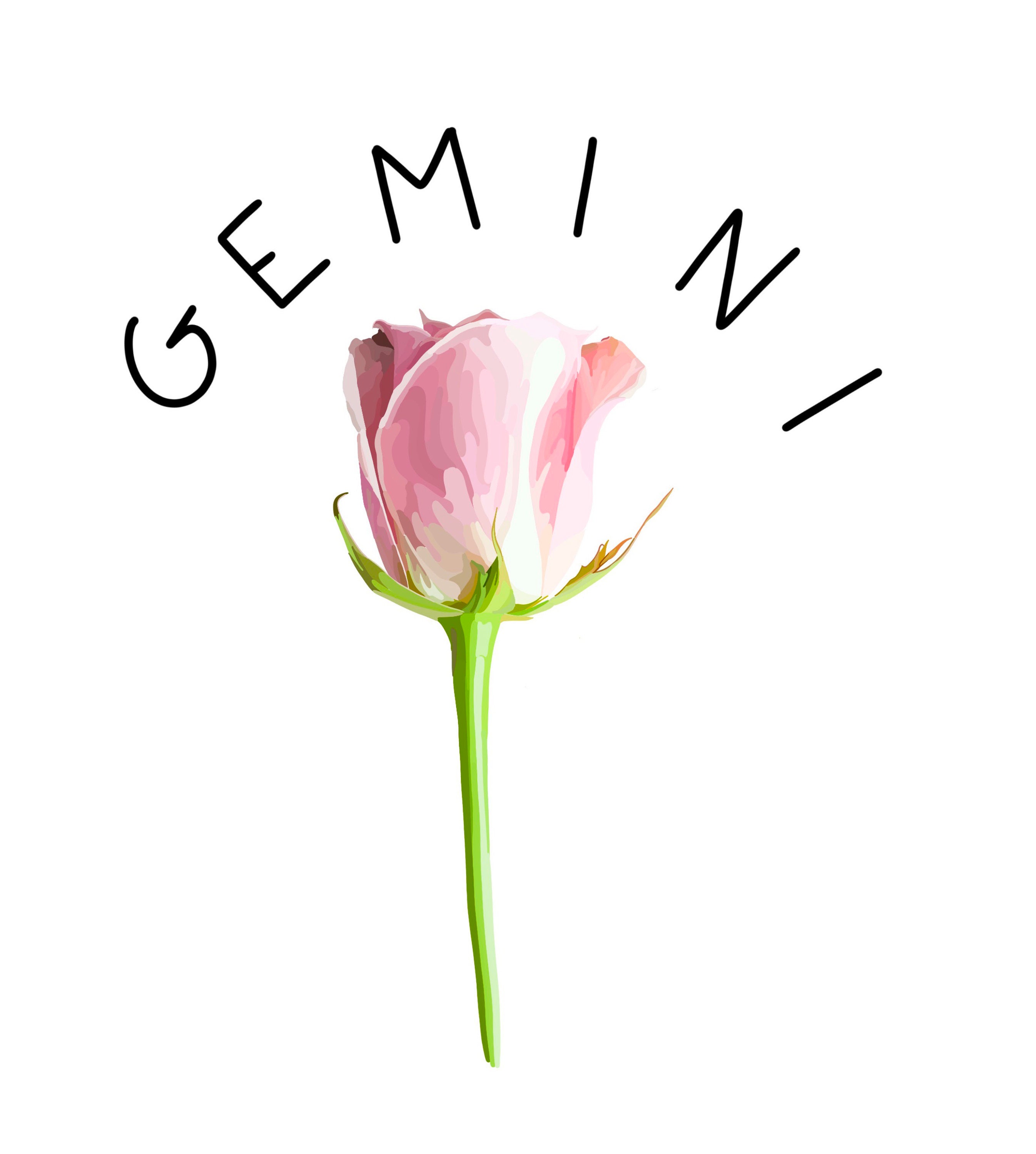 Zodiac Sticker Flower Sticker Gemini Sticker waterproof Etsy