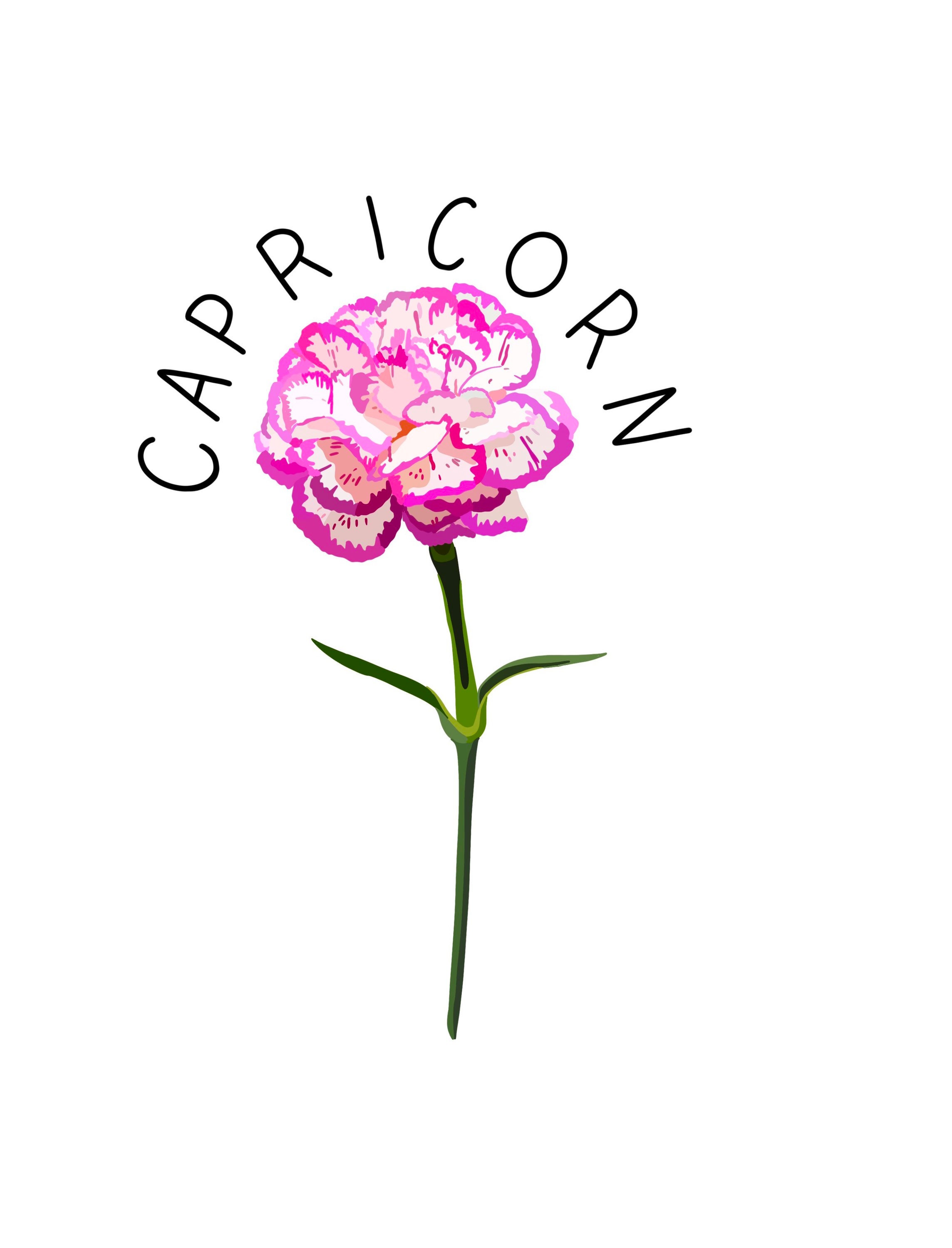 Zodiac Sticker Flower Sticker Capricorn Sticker Etsy