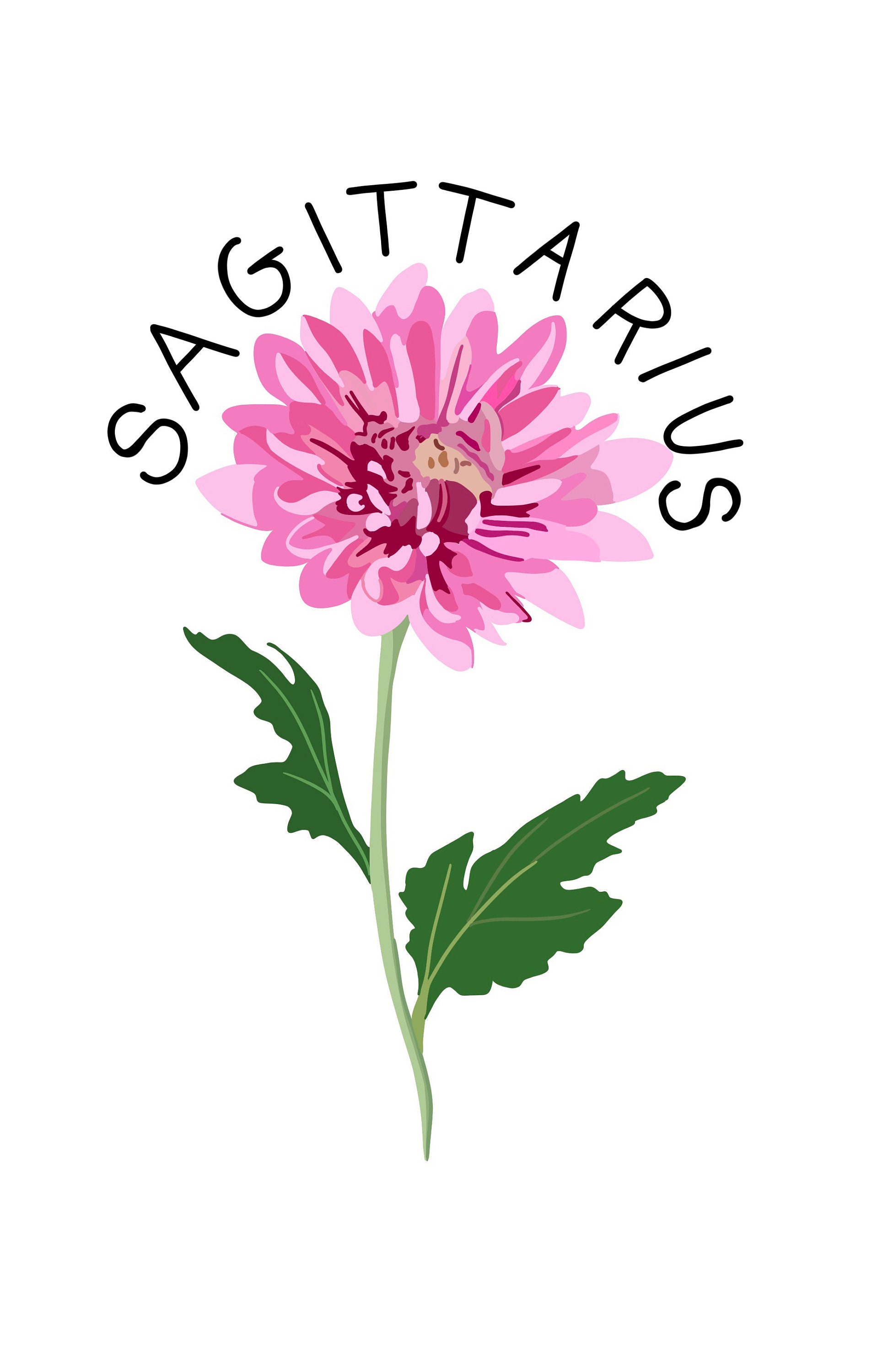 Zodiac Sticker Flower Sticker Sagittarius Sticker Etsy