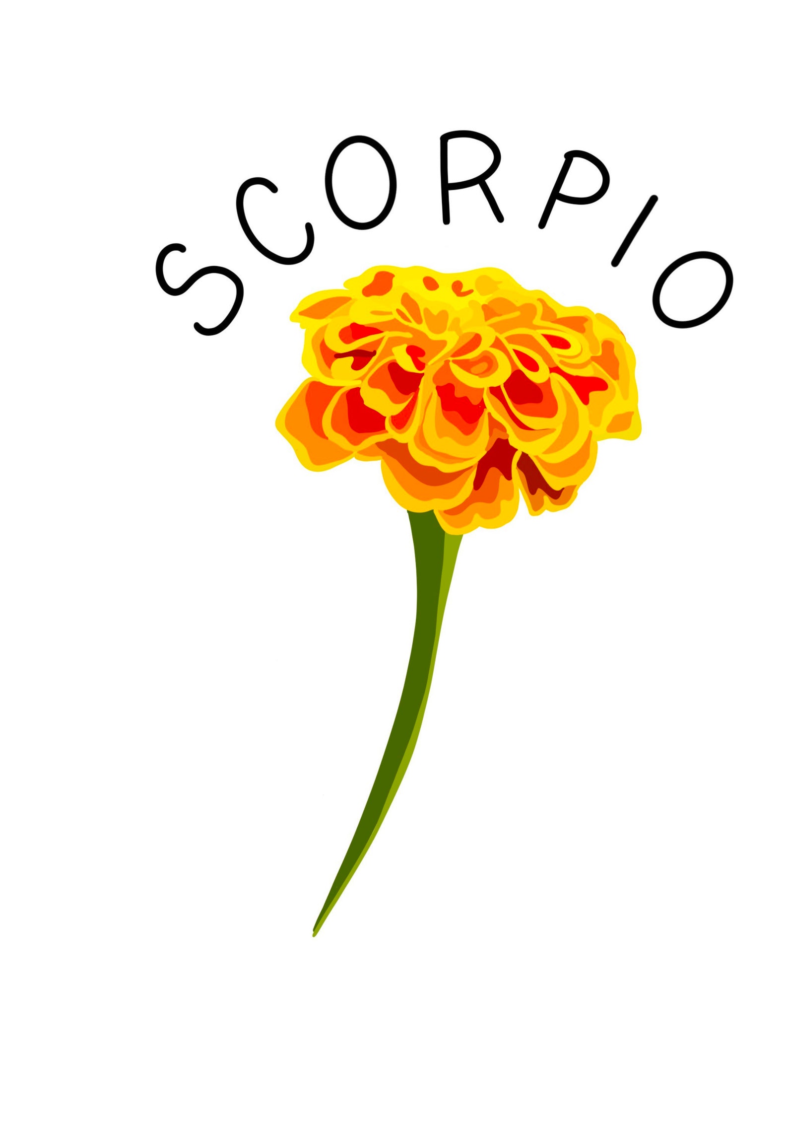 Zodiac Sticker Flower Sticker Scorpio Sticker waterproof Etsy