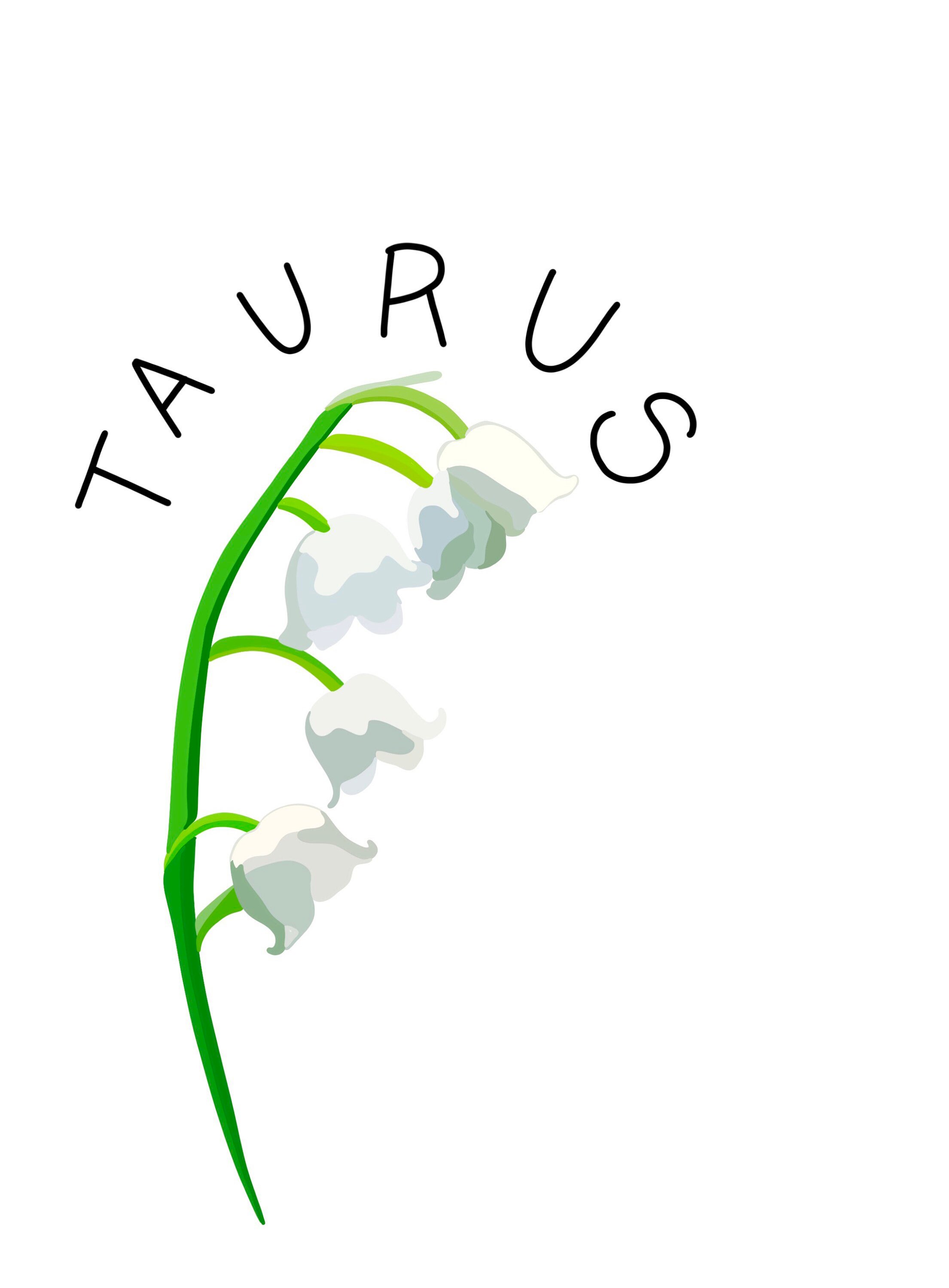 Zodiac Sticker Flower Sticker Taurus Sticker waterproof Etsy