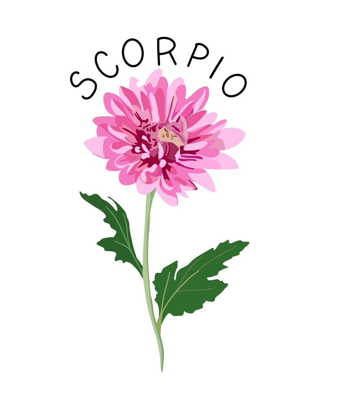Zodiac Sticker Flower Sticker Scorpio Sticker waterproof Etsy
