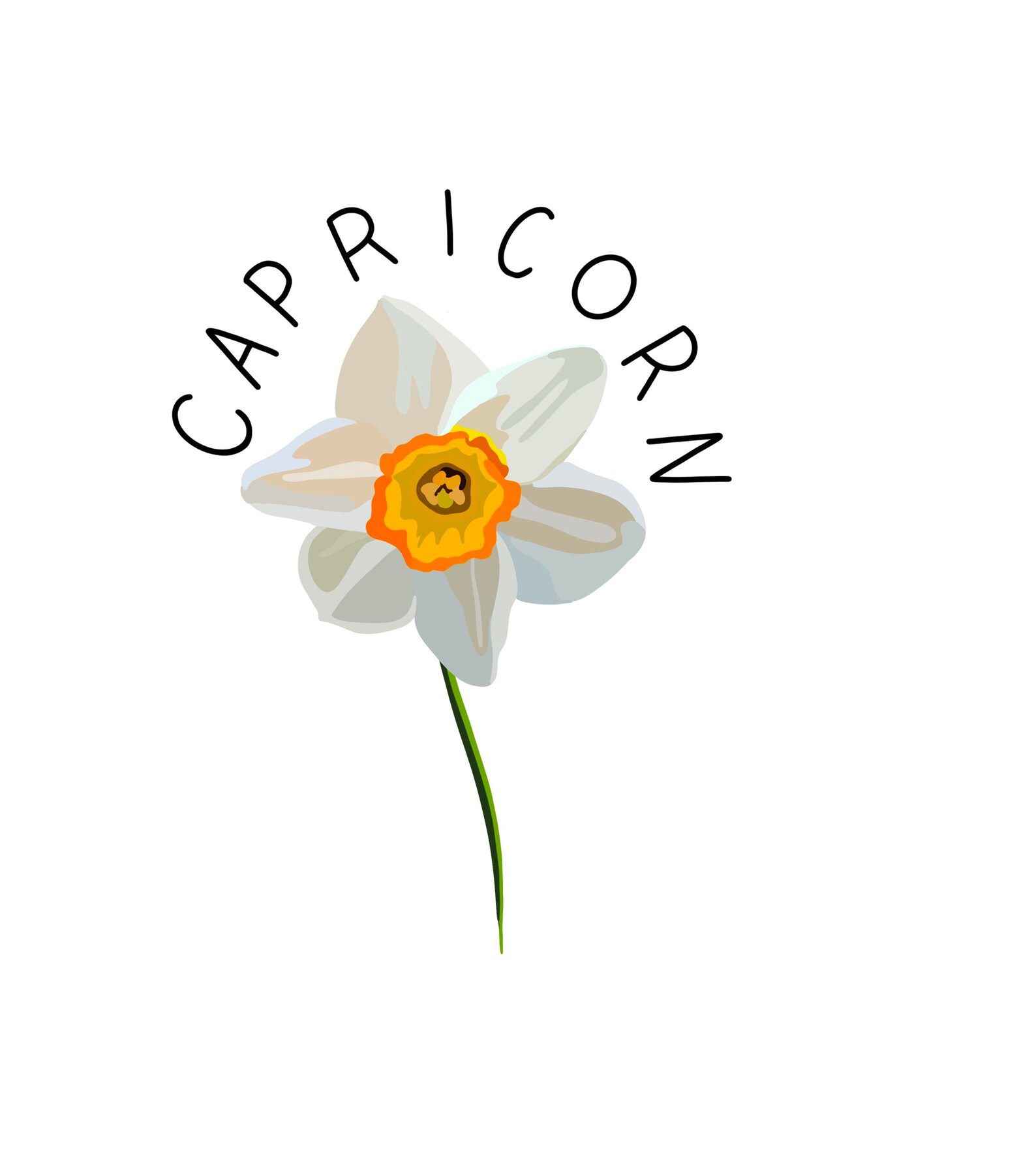 Zodiac Sticker Flower Sticker Capricorn Sticker Etsy