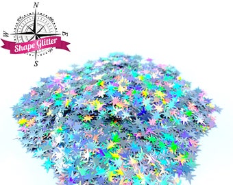 Sliver North Star Holographic Shape Glitter, Solvent Resistant, Small Silver Star Confetti Solvent Resistant Glitter Confetti