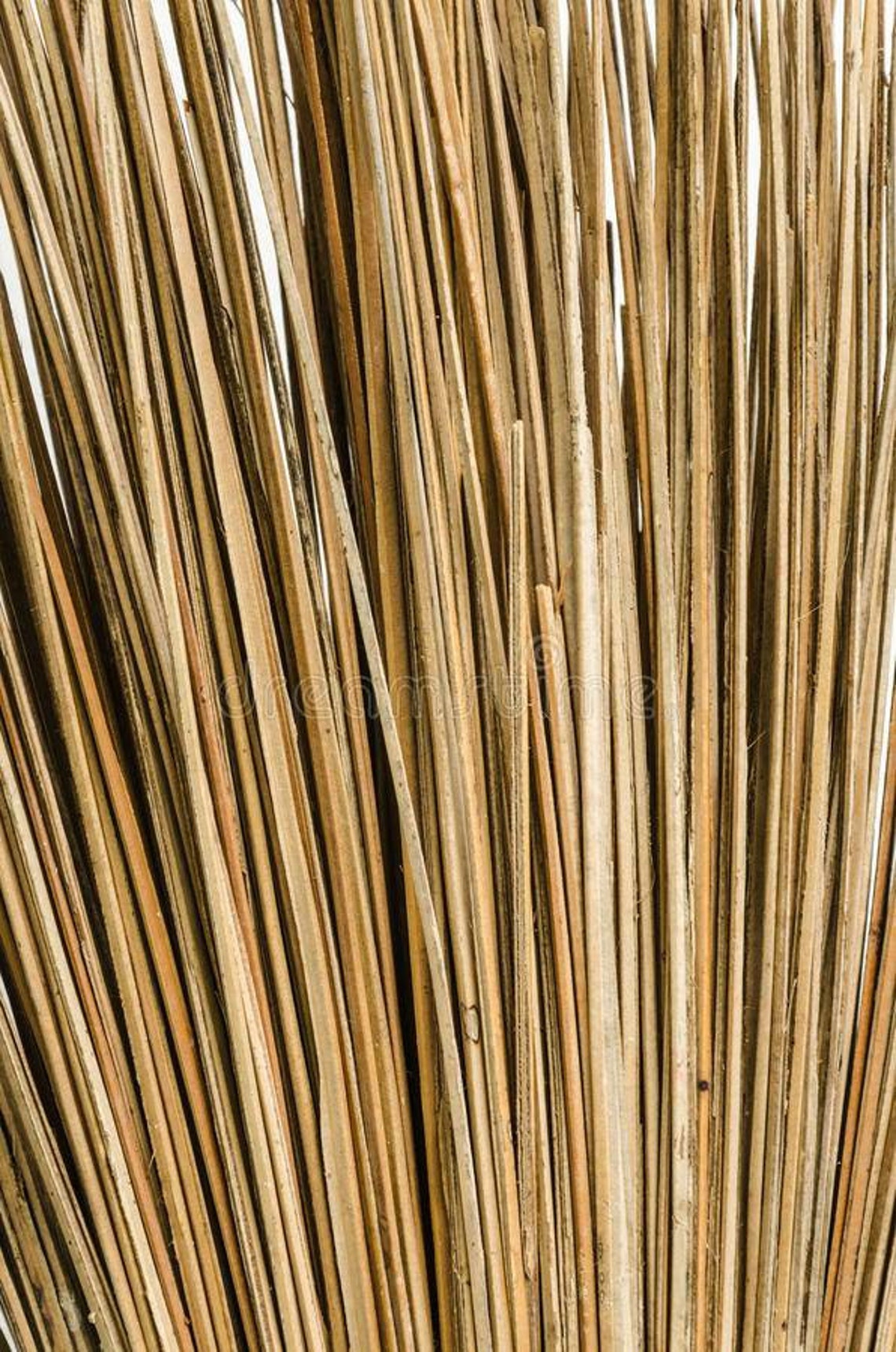 Coconut sticks dried coconut sticks coconut mid rib coconut Etsy