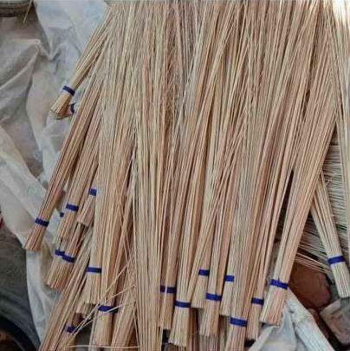 Coconut sticks dried coconut sticks coconut mid rib coconut Etsy