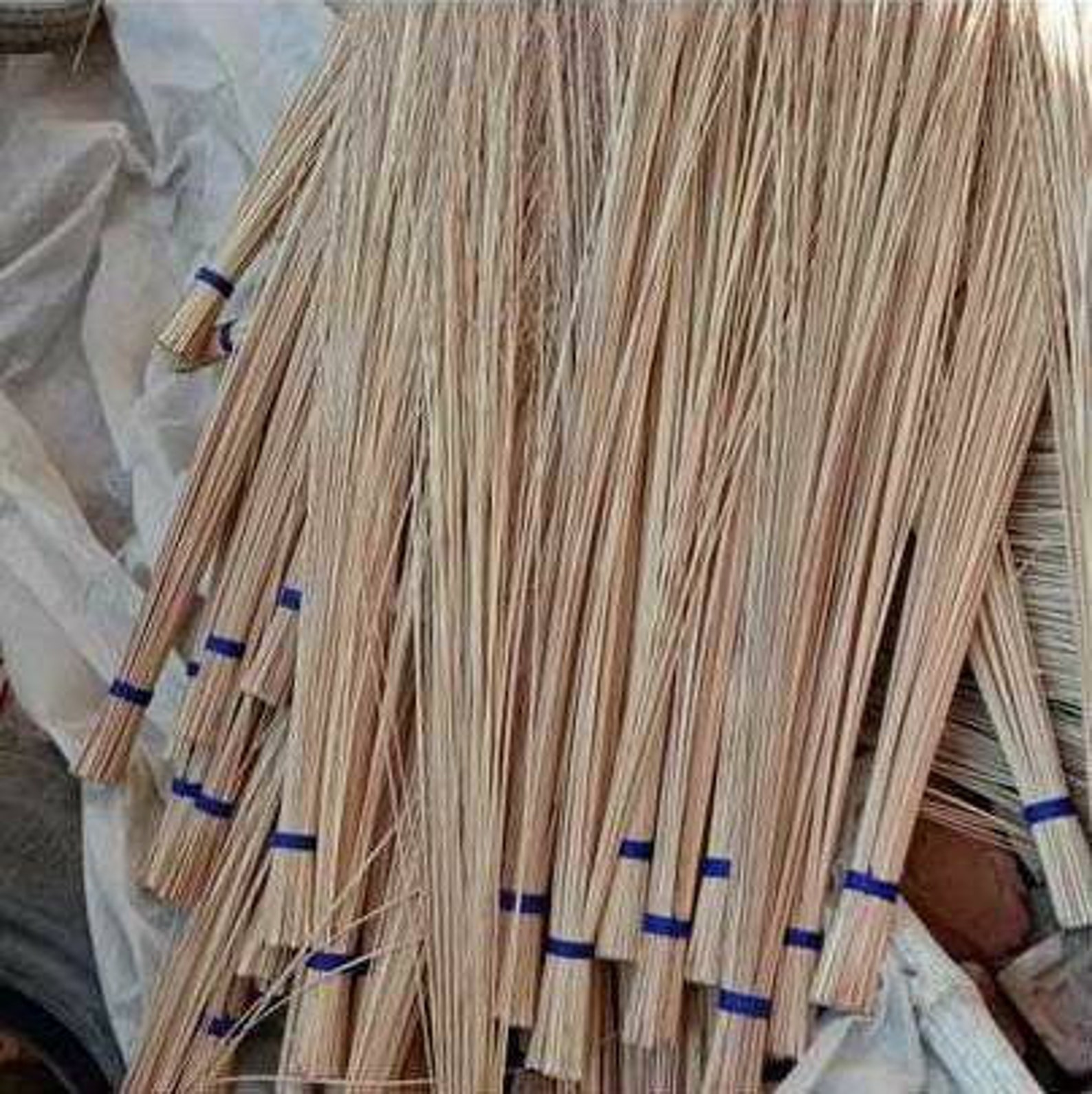 Coconut sticks dried coconut sticks coconut mid rib coconut Etsy